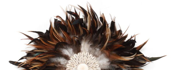 juju op standaard zwart bruin