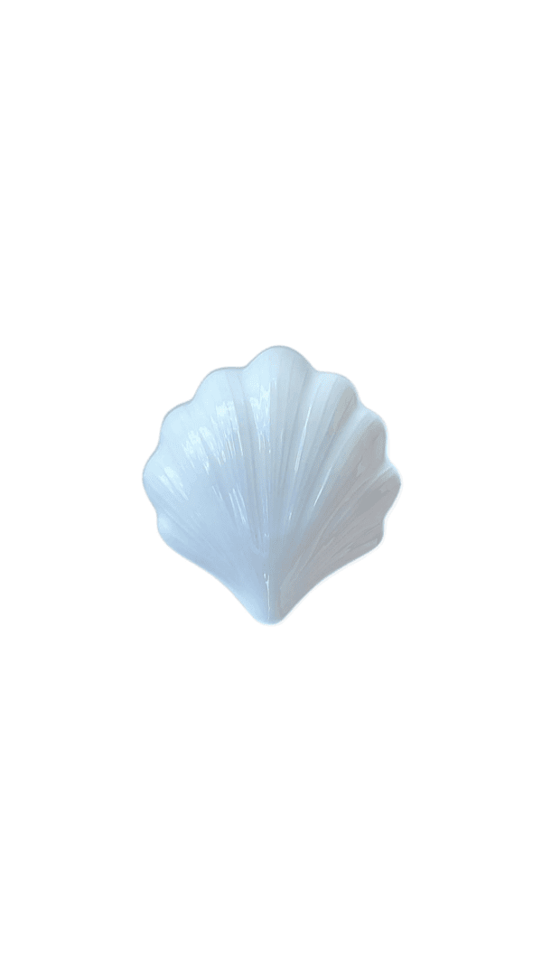 Schaaltje schelp